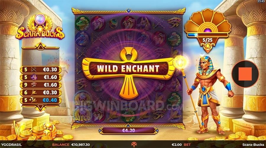 Hawkplay Agent - Join Us for Exclusive Agent Benefits