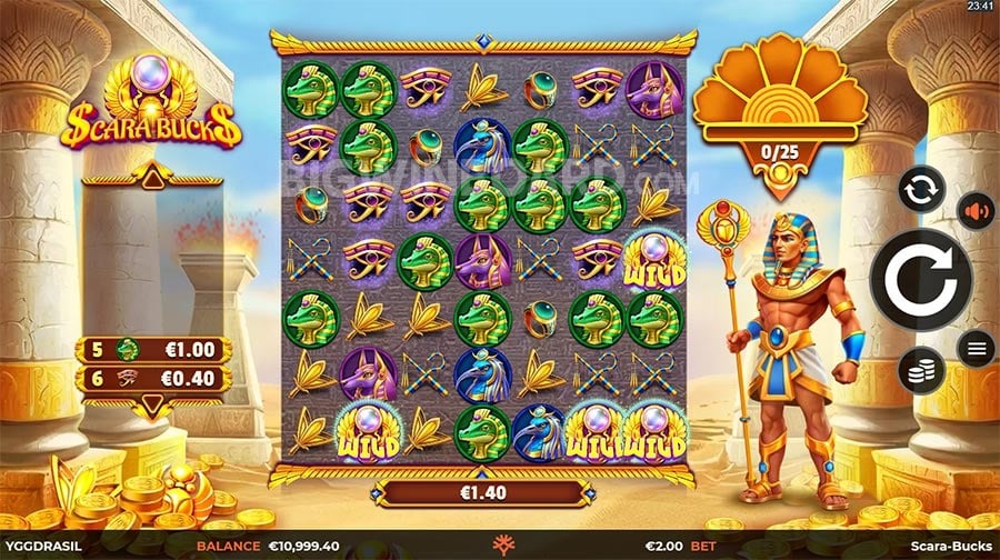 Hawkplay Agent - Join Us for Exclusive Agent Benefits