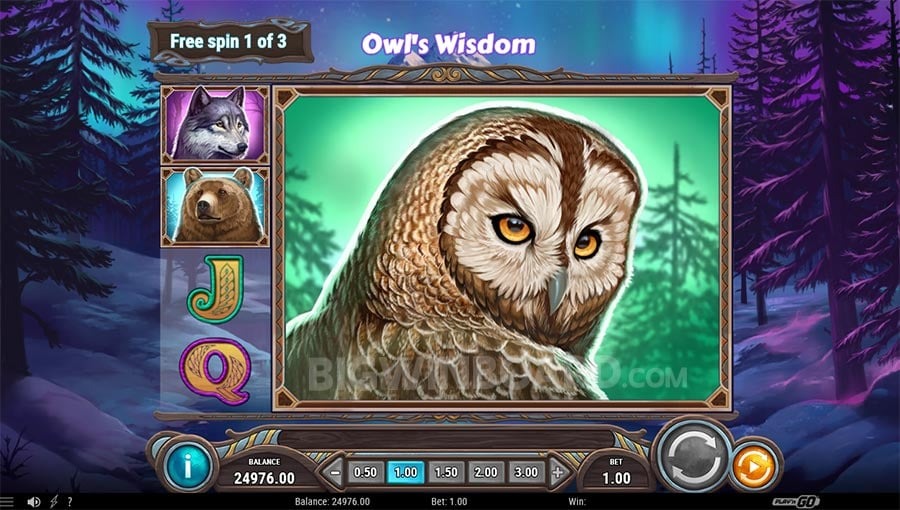 Hawkplay Agent - Join Us for Exclusive Agent Benefits