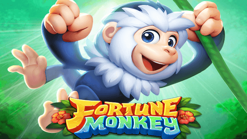 Fortune Monkey Budget Guide: Stakes and Session Planning hawkplay